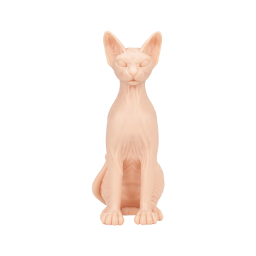 A Pound of Flesh Sphynx Nacktkatze