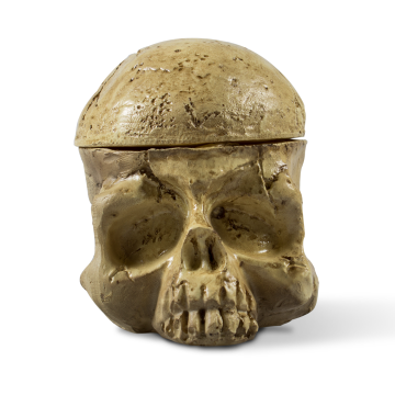 Totenkopf-Farbkappenhalter