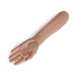 A Pound of Flesh - linke Hand mit Unterarm